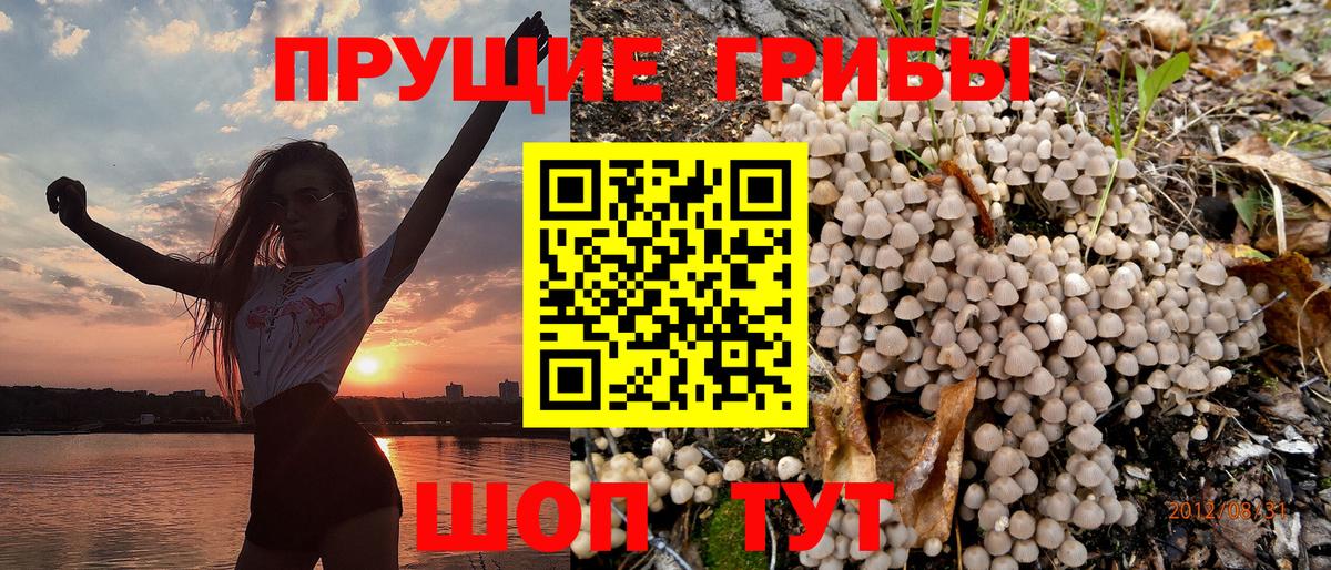 сколько стоит  Псилоцибиновые грибы Psilocybine cubensis  Вход с VPN  Фрязино 
