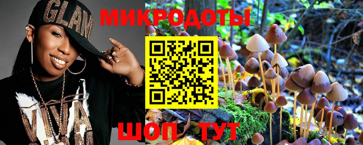 Псилоцибиновые грибы мухоморы Фрязино