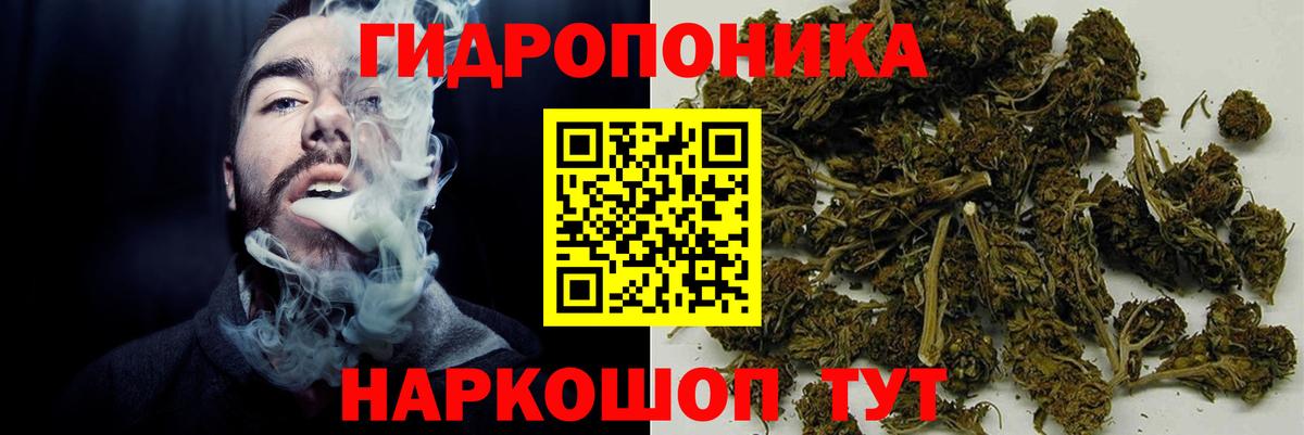 Фрязино  Каннабис Ganja  Конопля план  Вход с VPN  Шишки марихуана Amnesia 